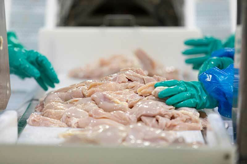 Custom-made biomapping and knowledge assortment enhance meals security in poultry processing Custom-made biomapping and knowledge assortment enhance meals security in poultry processing