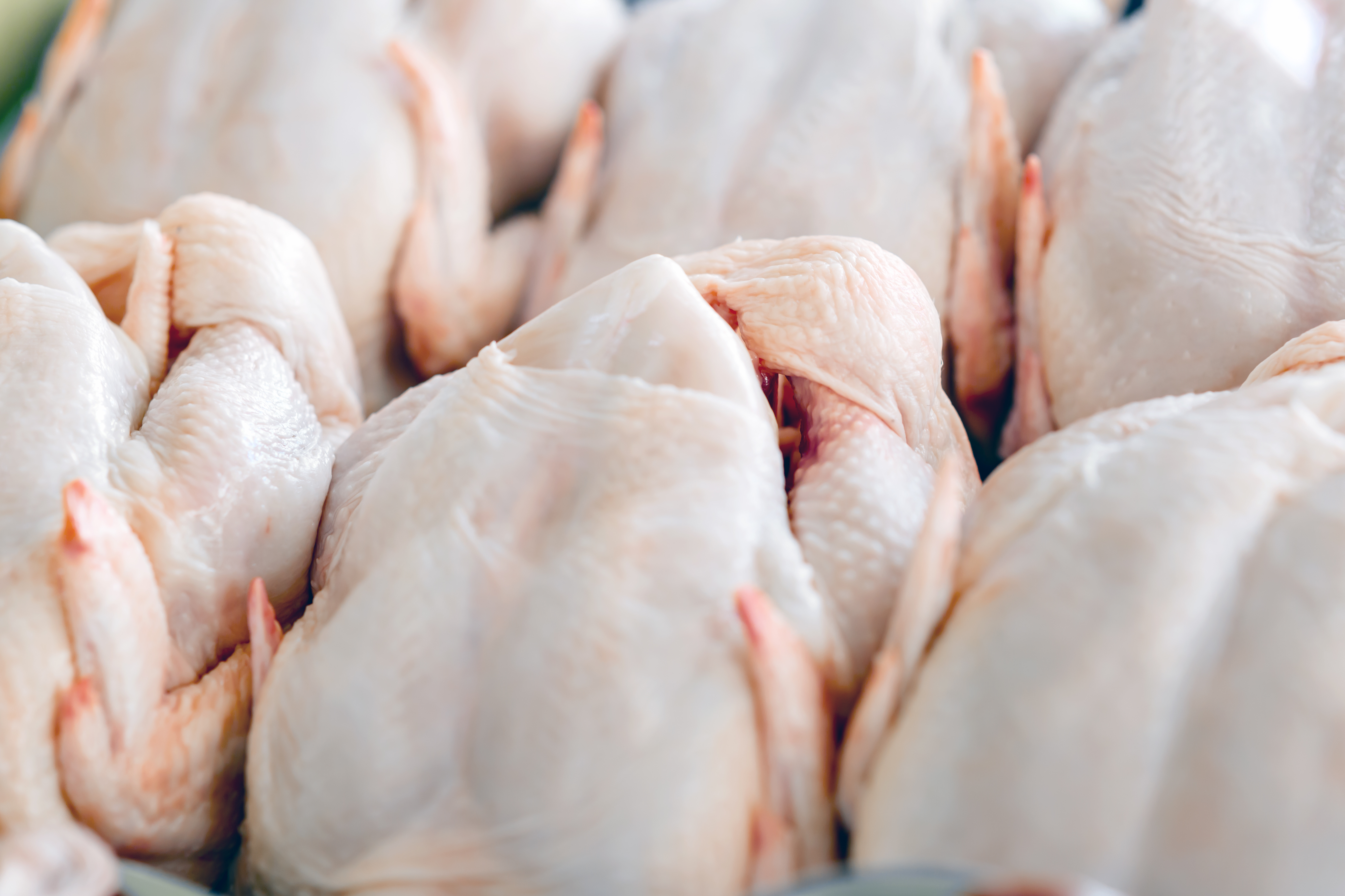 Poultry meat