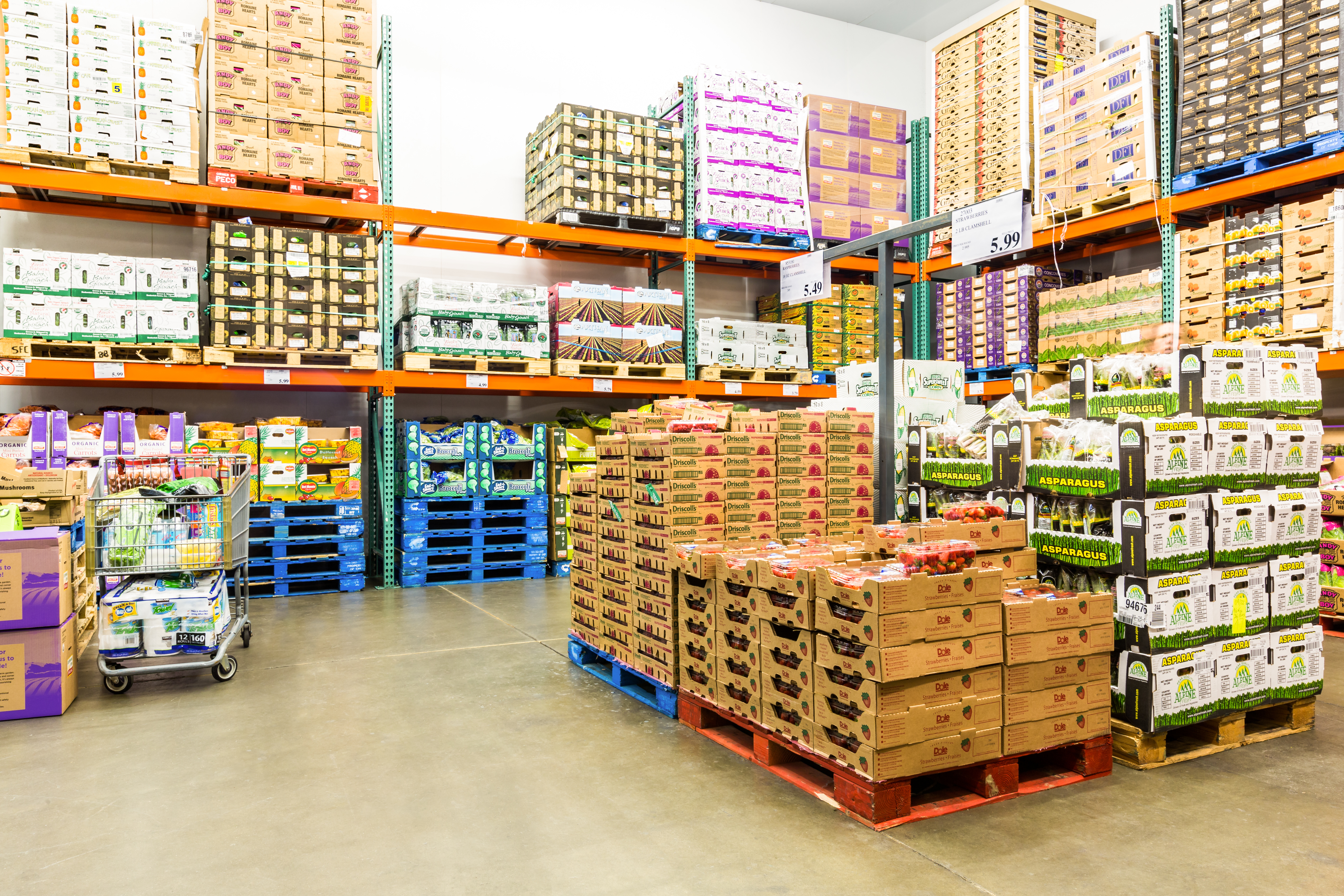 View inside a general cold storage facility