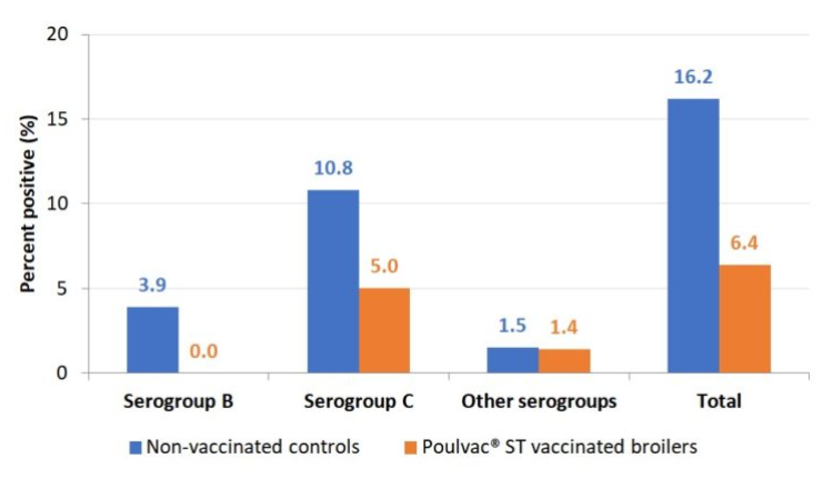Figure 2. Salmonella-positive rinses at rehang and parts in broilers vaccinated against Salmonella with a modified-live vaccine and raised without antibiotics as compared to unvaccinated controls