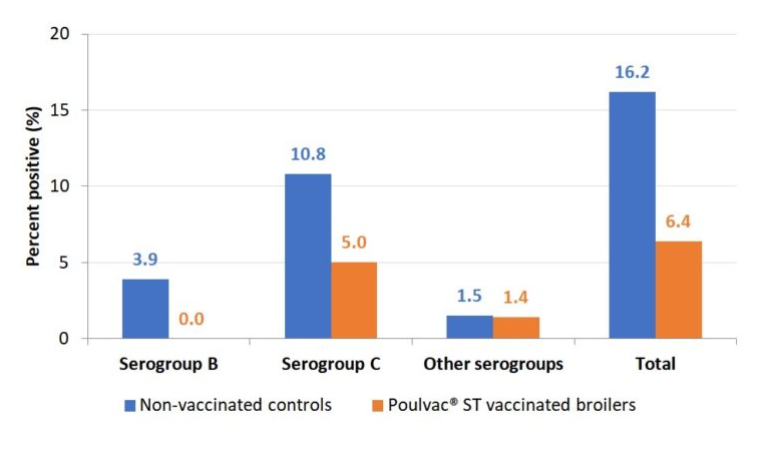 Figure 1. Salmonella-positive rinses at rehang in conventional broilers vaccinated against Salmonella with a modified-live vaccine compared to unvaccinated controls