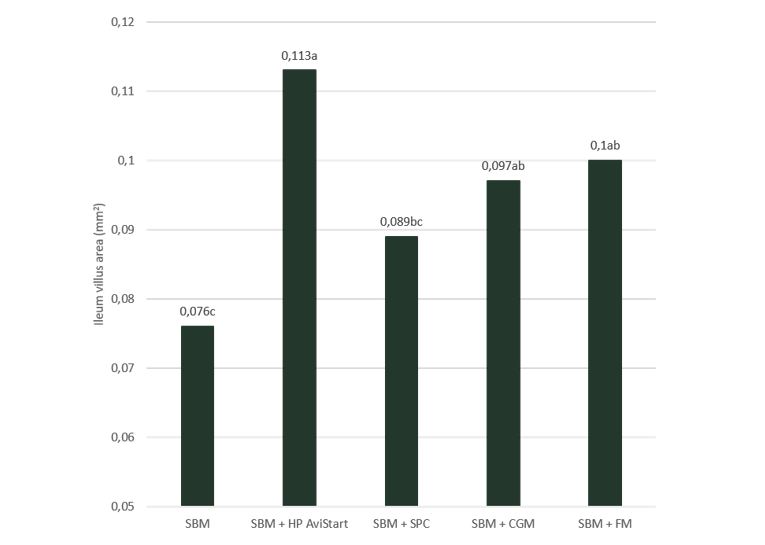 Figure 2. Effect of HP AviStart and other protein sources in starter feed (0-10 d) on the ileum villus area (mm2) on day 21. Figures with different subscript are significant different (p<0.05). SBM: soybean meal; SPC: alcohol-treated soy protein concentrate; CGM: corn gluten meal; FM: fish meal