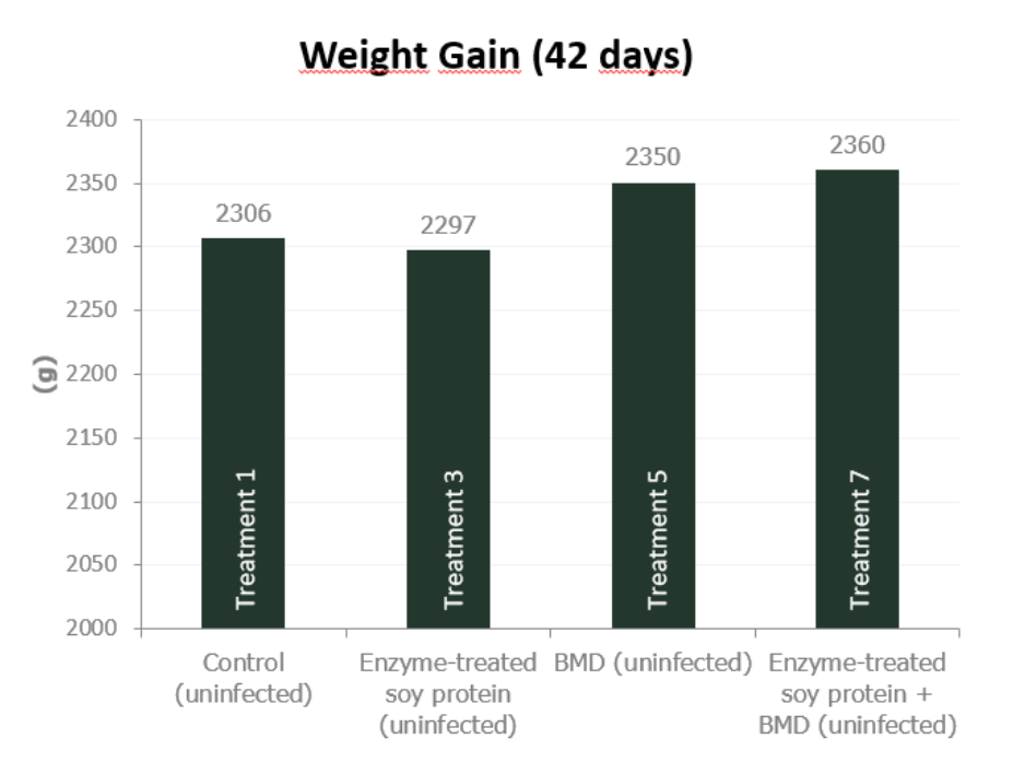 Figure 4a. Effect of feeding enzyme-treated protein (HP AviStart) in the starter feed and/or AGP (BMD) during the entire cycle on body weight and FCR of uninfected broiler chickens (0-42 days). Data with different subscripts are significantly different (P<0.05). Source: Rasmussen et al., 2019.