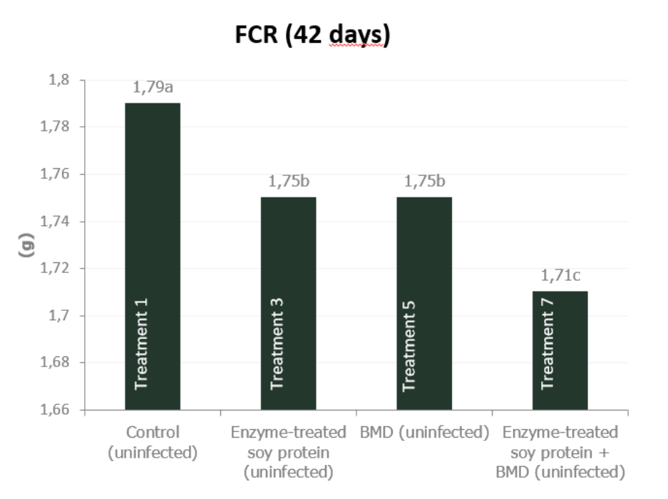 Figure 4b. Effect of feeding enzyme-treated protein (HP AviStart) in the starter feed and/or AGP (BMD) during the entire cycle on body weight and FCR of uninfected broiler chickens (0-42 days). Data with different subscripts are significantly different (P<0.05). Source: Rasmussen et al., 2019.
