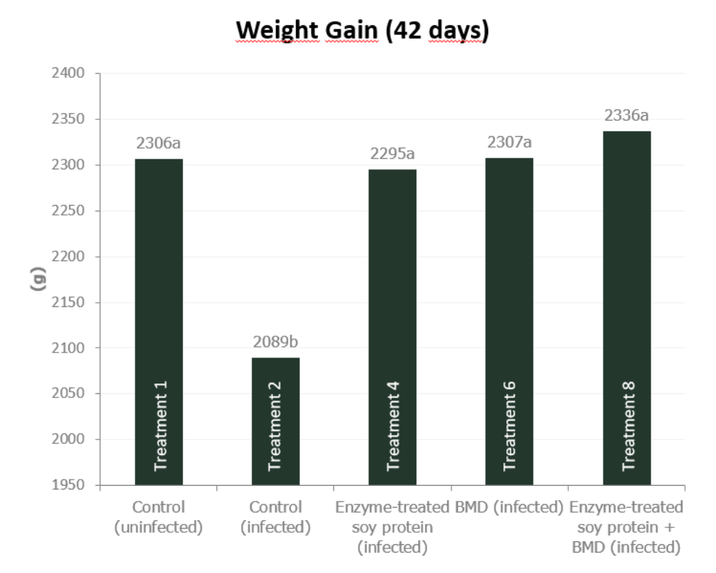 Figure 5a. Effect of feeding enzyme-treated protein (HP AviStart) in the starter feed and/or AGP (BMD) during the entire cycle on body weight and FCR of infected broiler chickens (0-42 days). Data with different subscripts are significantly different (P<0.05). Source: Rasmussen et al., 2019.