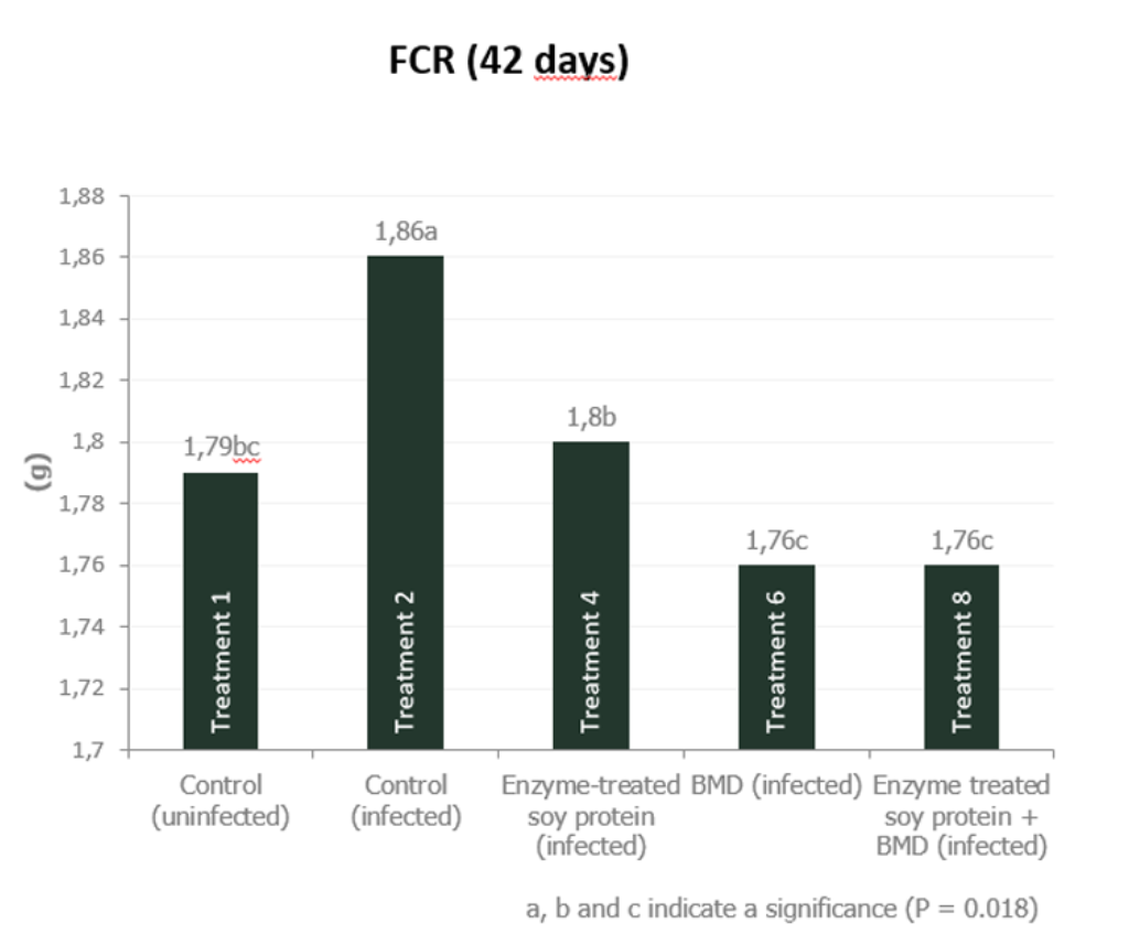 Figure 5b. Effect of feeding enzyme-treated protein (HP AviStart) in the starter feed and/or AGP (BMD) during the entire cycle on body weight and FCR of infected broiler chickens (0-42 days). Data with different subscripts are significantly different (P<0.05). Source: Rasmussen et al., 2019.