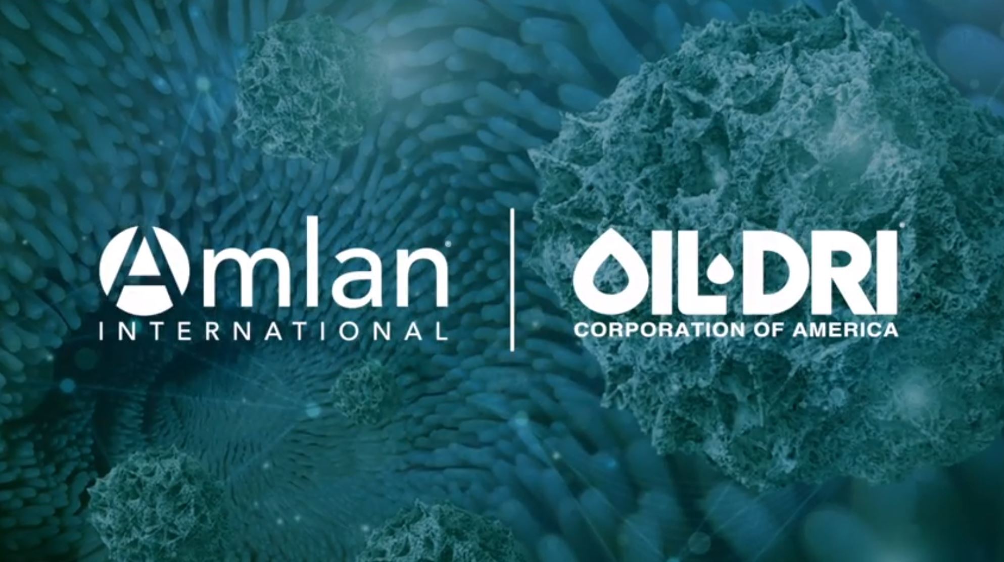 Sponsored by way of Oil-Dri, Amlan Global helps manufacturers farm with out antibiotics