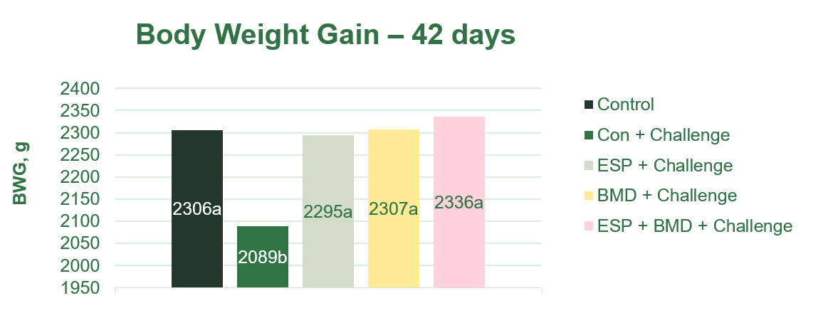 Figure 1. Effect of enzyme-treated soy protein (ESP) on body weight gain of coccidiosis-vaccinated and Clostridium-infected chickens on day 42.