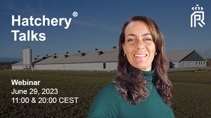 Offering an optimal get started on the broiler farm