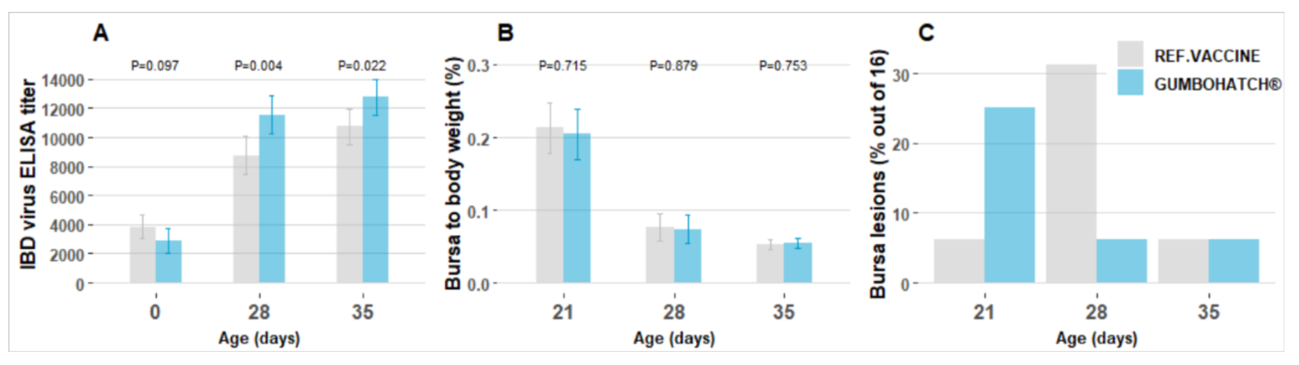 Figure: serological response (A), bursa to body weight (B, least squares means ± 95% confidence interval) and macroscopic bursal lesions (C) after vaccination with GUMBOHATCH® or a reference vaccine.