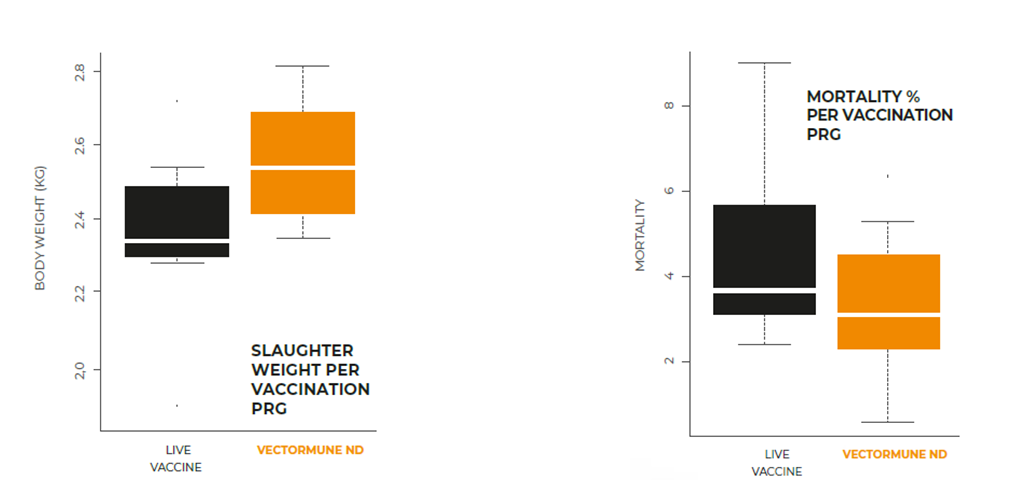 Figure 1. The economical benefits were calculated based on the production differences considering additional 250 g/ bird in slaughter body weight and 7 points lower in the feed conversion ratio with the Vectormune® ND vaccination program which translates into 142 Euros per 1,000 birds in this study.