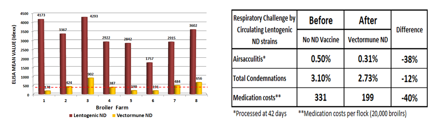 Figure 2. Comparative serological results and economic benefits before and after the inclusion of Vectormune® ND in a commercial broiler company located in an ND-free region