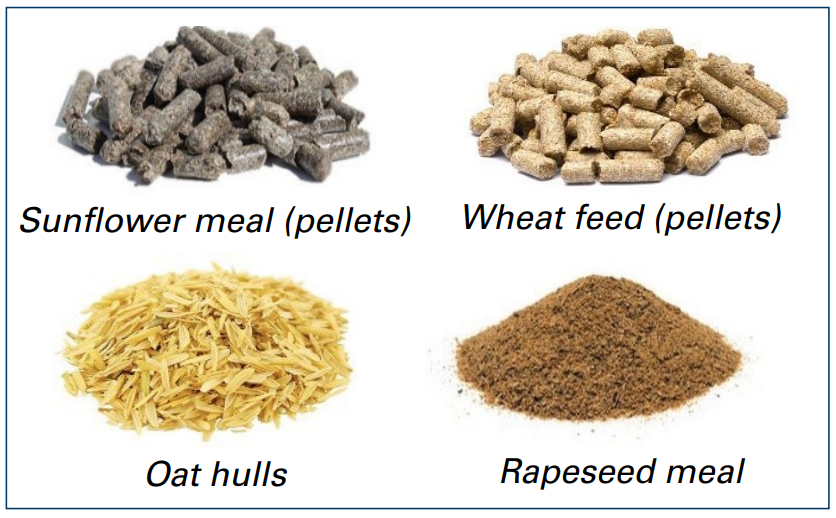Figure 8. Raw materials which contribute to the fiber density of the diet. Images courtesy KW Alternative Feeds.