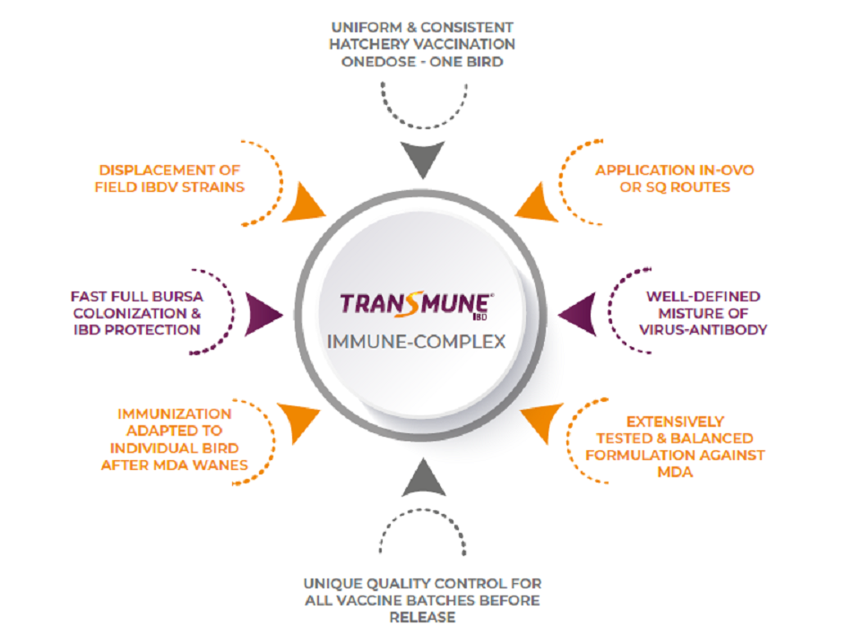 Figure 2. Benefits associated with Immune-Complex (Transmune) vaccination