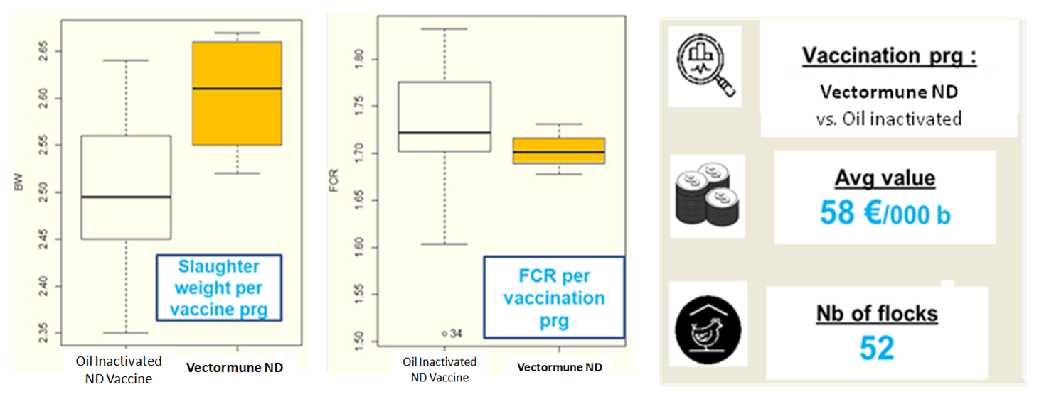Figure 1. Statistical analyses of Vectormune® ND vs. Inactivated ND vaccines showing higher body weight (100 g) and a lower feed conversion ratio (3 points) in broiler flocks vaccinated with Vectormune® ND.