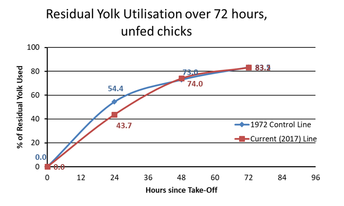 Figure 2 – Rate of yolk utilisation in male line chicks from the 1972 genetic control line and the current (UK 2017) equivalent
