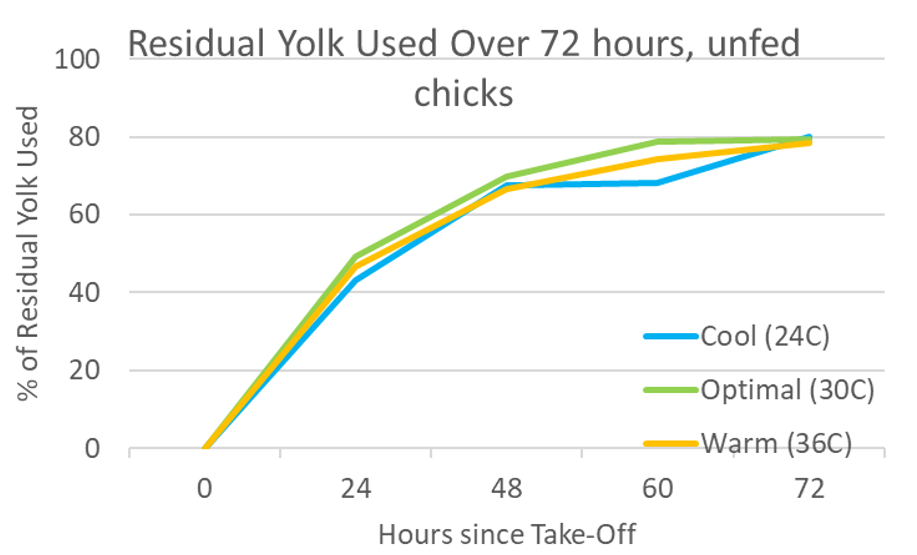 Figure 5 – Residual yolk utilisation over 72 hours after take-off at three holding temperatures