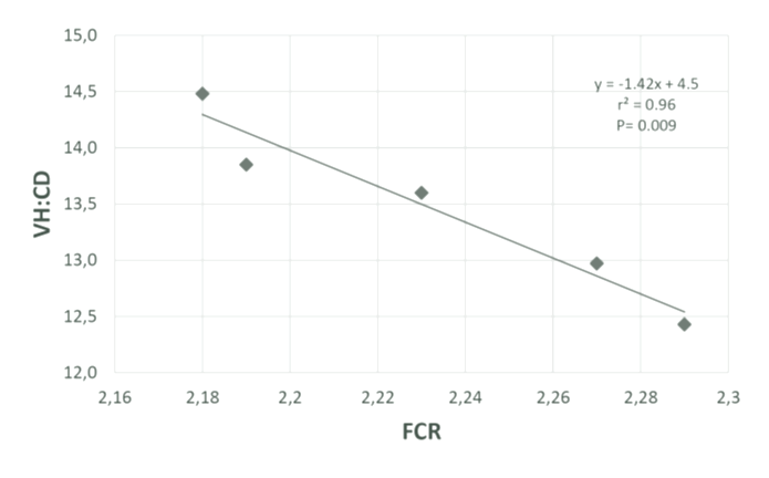 Figure 4. Correlation between VH:CD in small intestine and FCR of colored feathered chickens at 60 days (Vietnam, 2016)