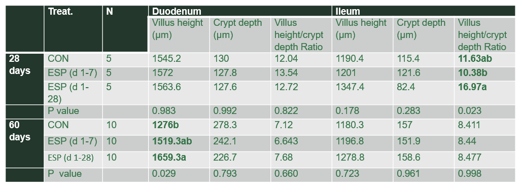 Table 3. Effect of enzymatically treated soy protein (ESP) on gut morphology of colored feathered chickens at 28 and 60 days (Vietnam, 2019)