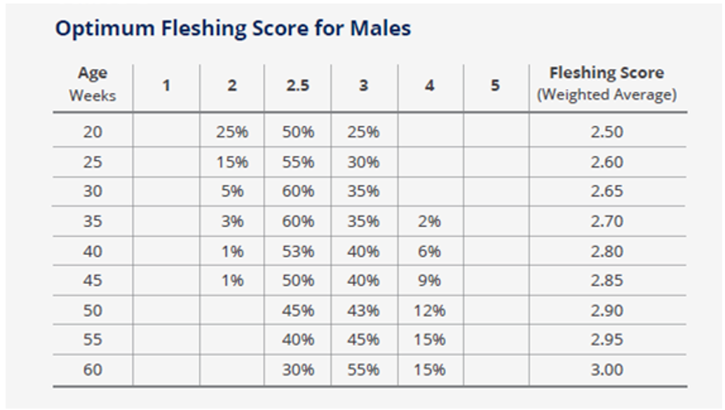 Figure 3: Optimum fleshing scores for males.
