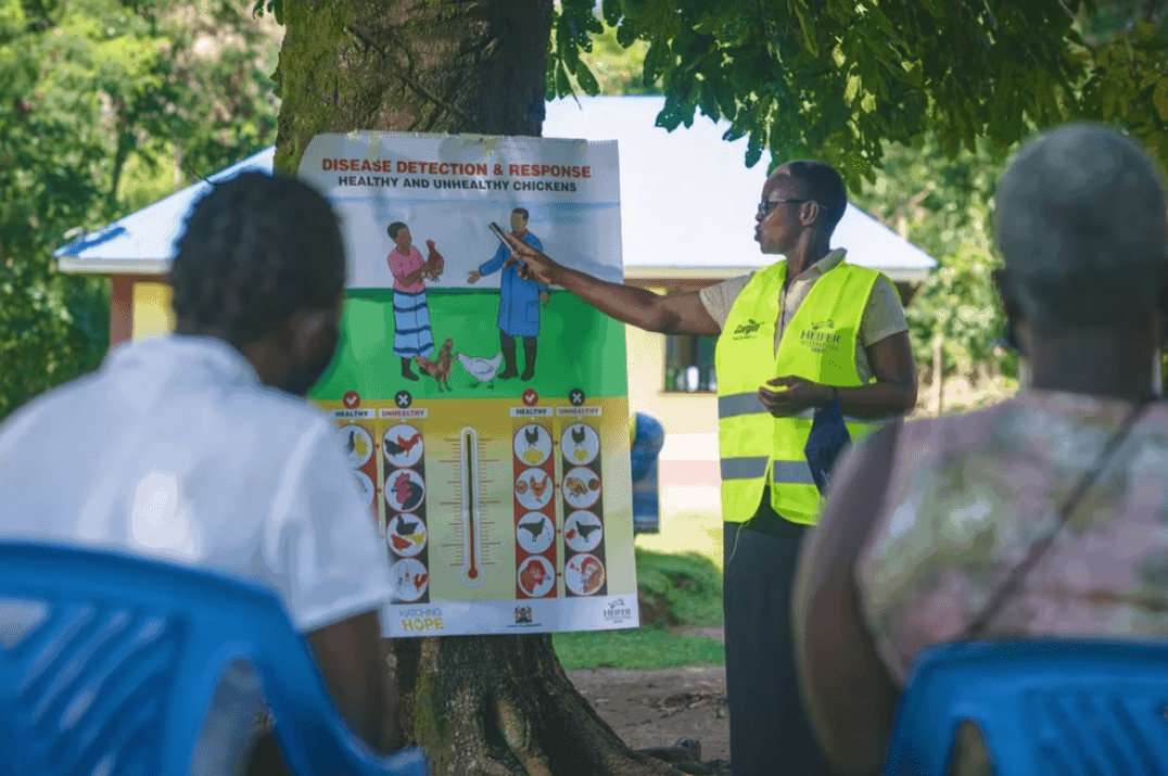 Christine Okode facilitates a disease detection and response traning with poultry farmers in Kenya