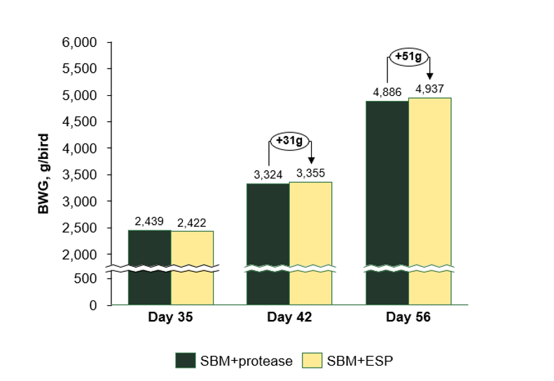 Figure 2 Body weight gain (BWG; kg/bird) of broiler chickens fed enzyme-treated soy protein (ESP) day 0-14 compared to exogenous protease fed day 0-56 (SBM+protease).