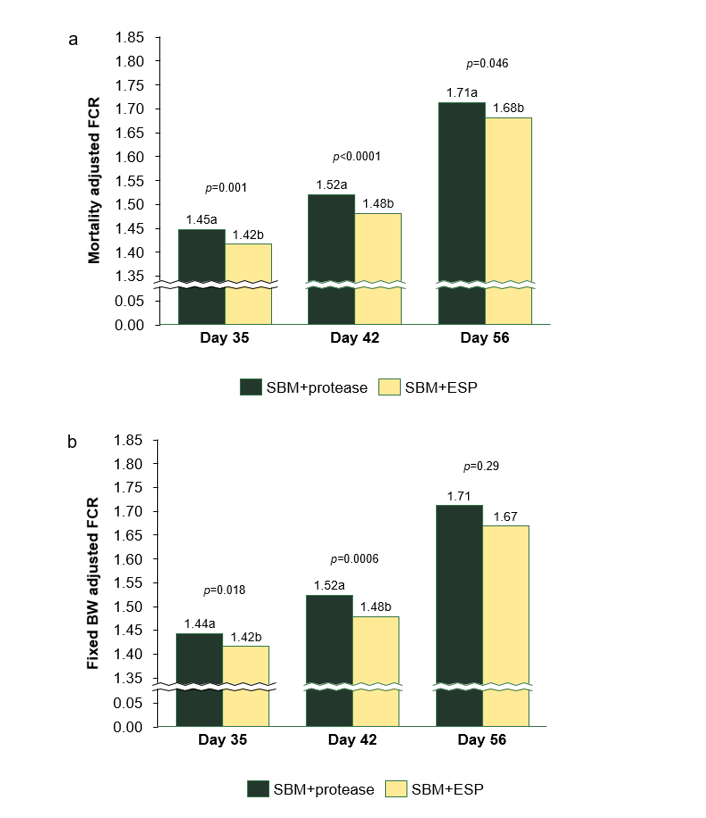 Figure 3 a) Mortality adjusted feed conversion ratio (FCR) and b) fixed BW adjusted FCR of broiler chickens fed enzyme-treated soy protein (ESP) day 0-14 compared to exogenous protease fed day 0-56 (SBM+protease).