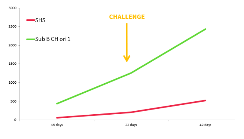 Serology at 15, 22 and 42 days of age