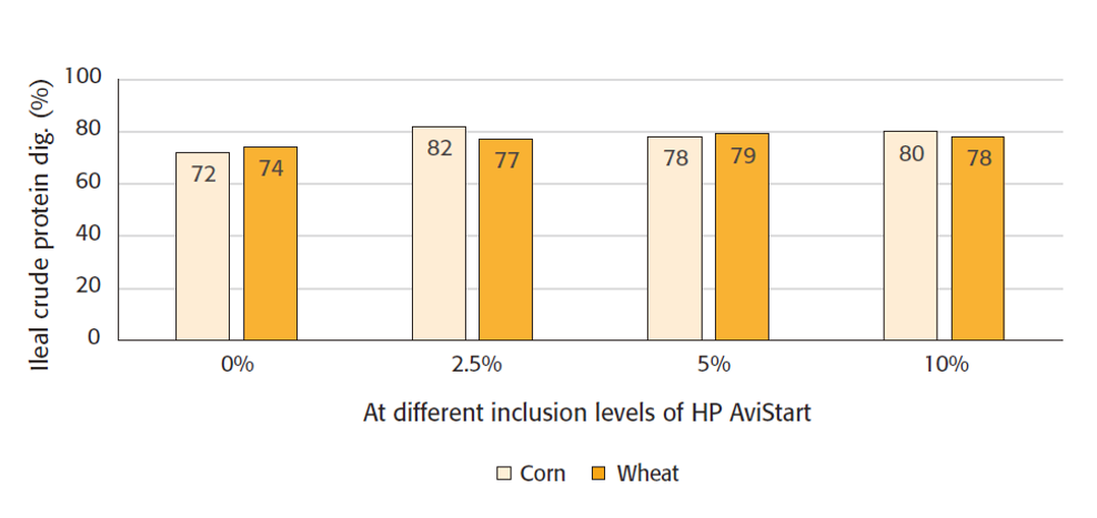 Figure 1: Overall ileal crude protein digestibility (24 days) in total diets.