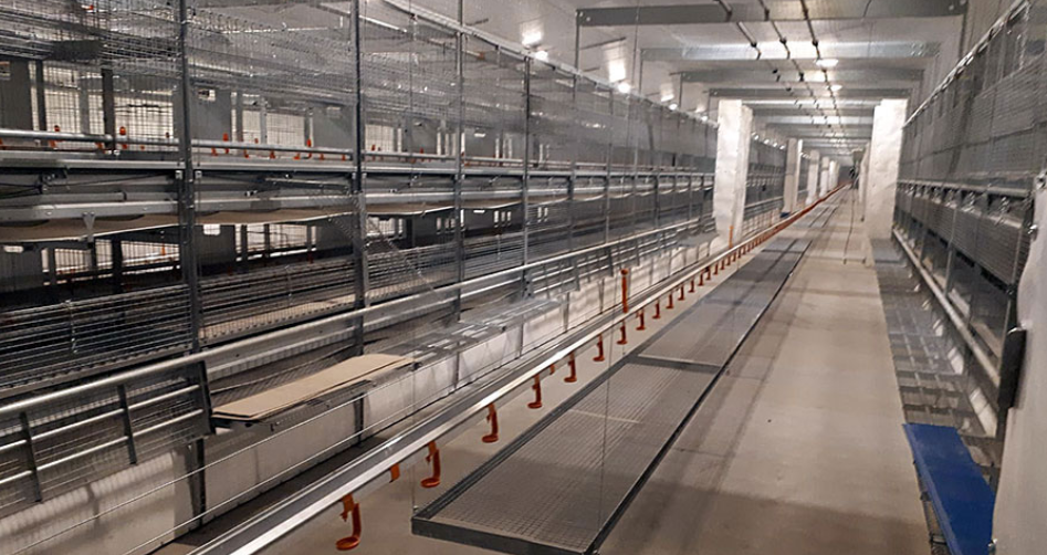 Natura Primus aviary for pullet rearing shortly before the first birds are moved in