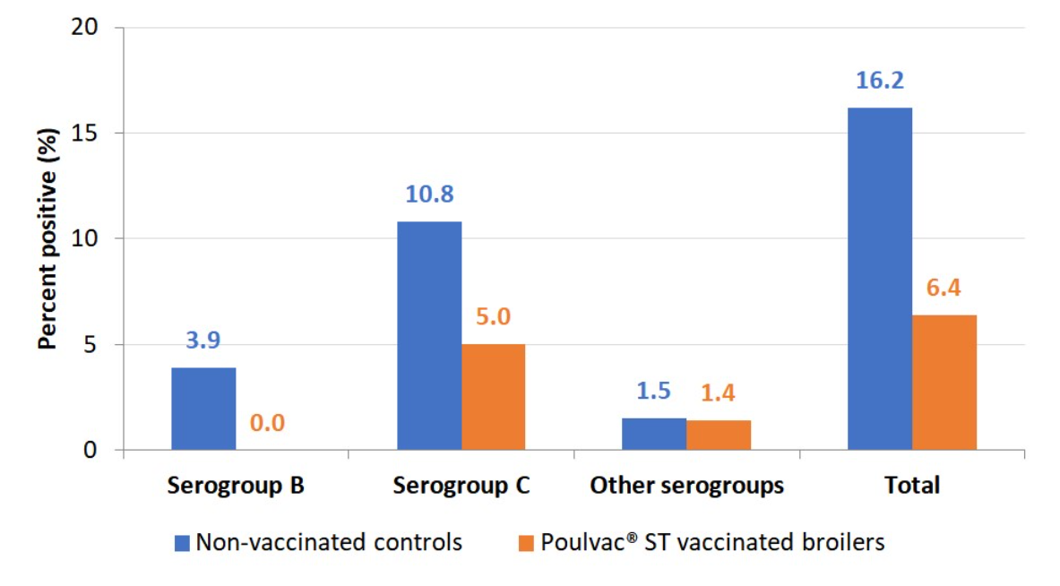Figure 1. Salmonella-positive rinses at rehang in conventional broilers vaccinated against Salmonella with a modified-live vaccine compared to unvaccinated controls