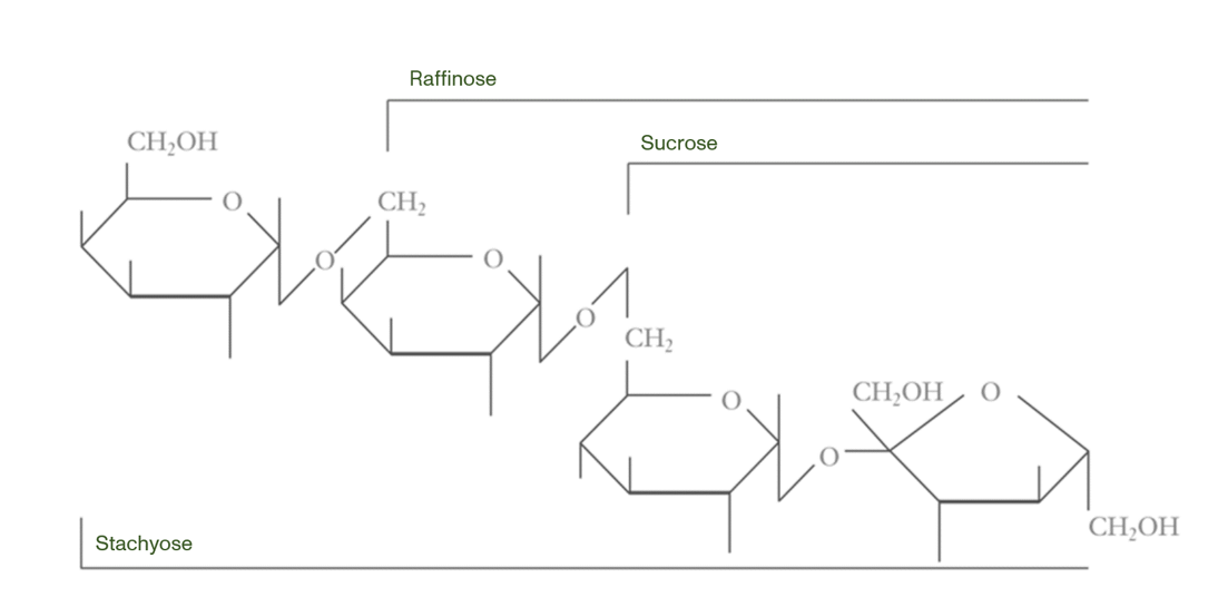 Figure 1. Chemical structures of soy α-galactosides