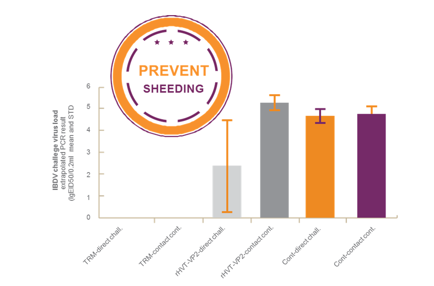 Figure 5. Efficacy of two IBD vaccination programs to stop shedding and spreading of IBD after virulent IBD virus challenge