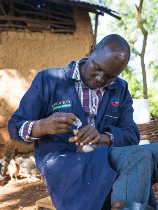 Calvin Swaga, a Community Agrovet Entrapreneur, administers vaccinated eyedrops to a chicken in Kenya