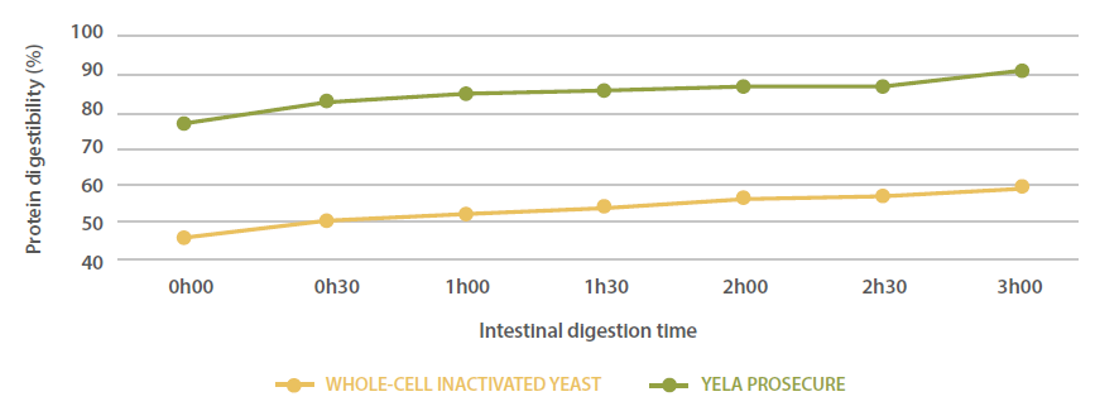 Figure 4. Kinetic of protein digestibility: YELA PROSECURE vs. a whole-cell inactivated yeast