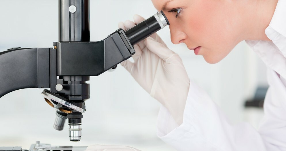 Pasteurization would possibly not transparent chook flu virus from closely inflamed milk