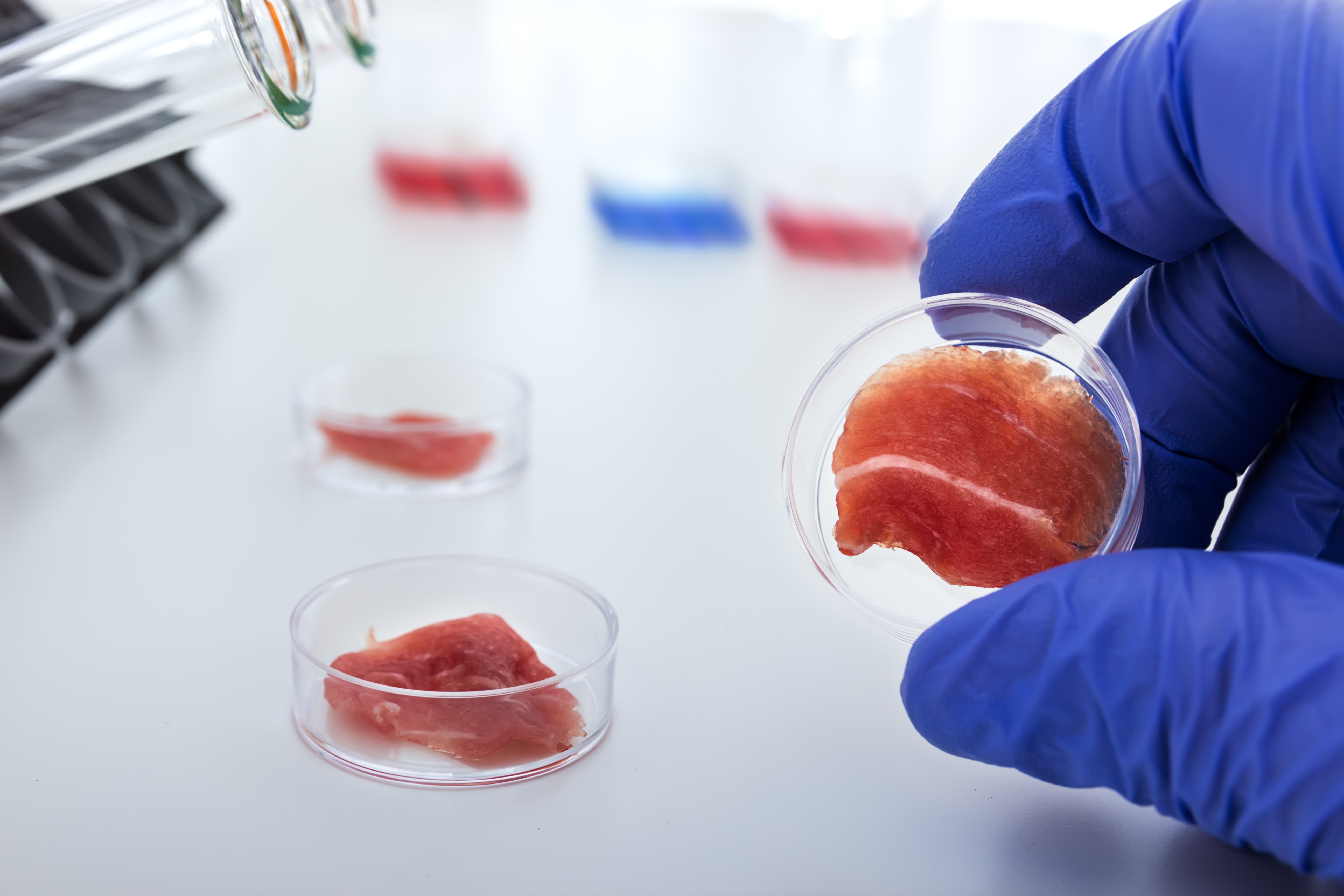 person holding a meat sample in a petri dish
