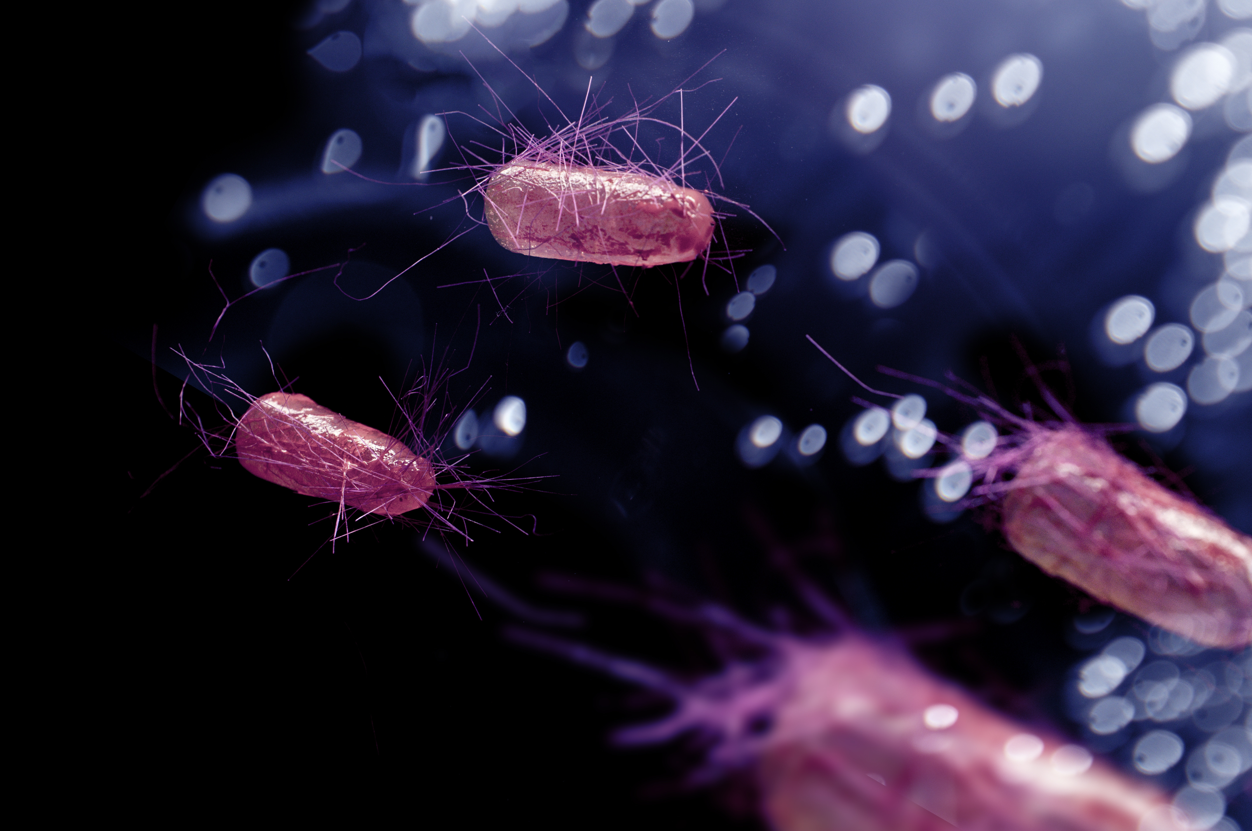 e. coli bacteria floating around