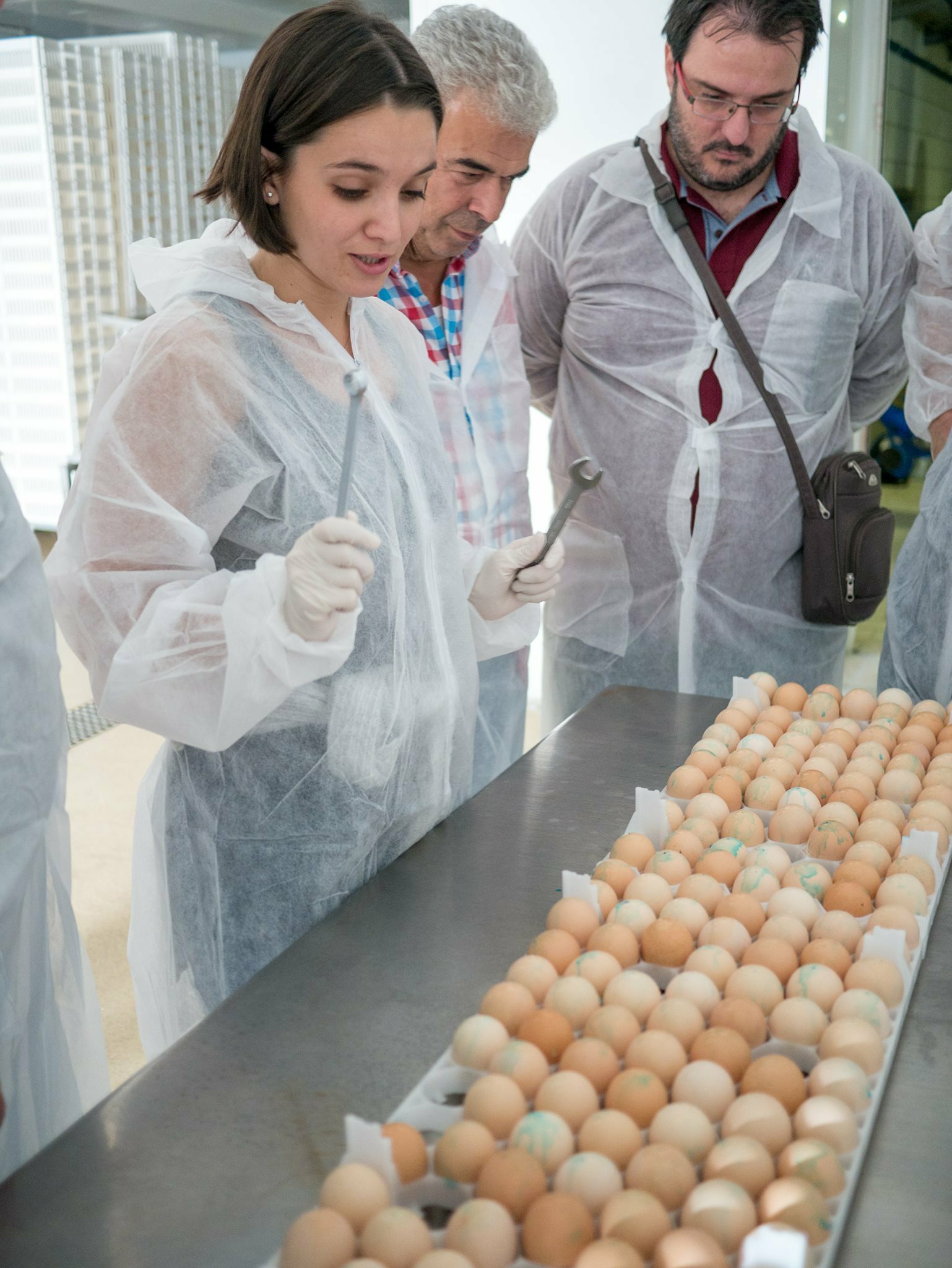 Maria on-site to evaluate hatch quality and vaccination procedures