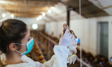 Us Poultry Industry Manual Egg Safety Rules The Poultry Site