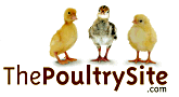 ThePoultrySite.com