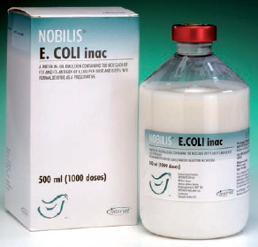 MSD Animal Health E.coli vaccine Nobilis