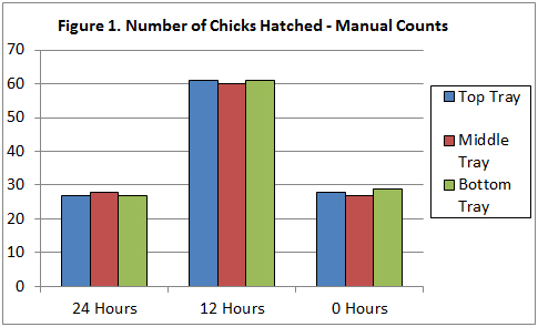 chick hatch ChickMaster