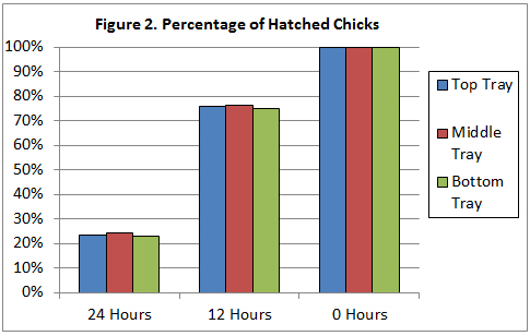 chick hatch ChickMaster