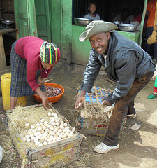 ILRI LIVES Ethiopia eggs