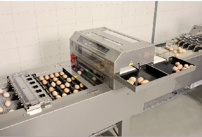 Ovograder Prinzen egg grading machineON