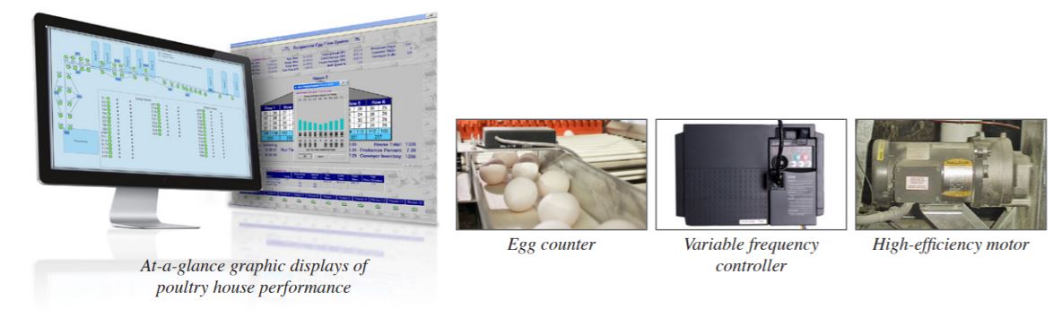 a computer displays a graph alongside an image of eggs and some other devices