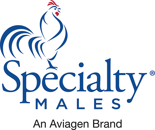 Specialty Males  - Aviagen