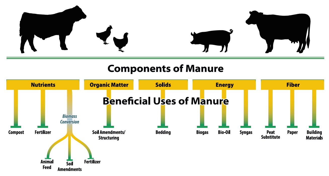 Components of Manure