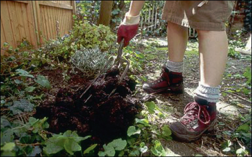 Turning Manure into Valuable Products - Nutrients